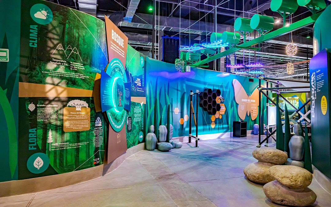 Acuario Michin Puebla - escena 1