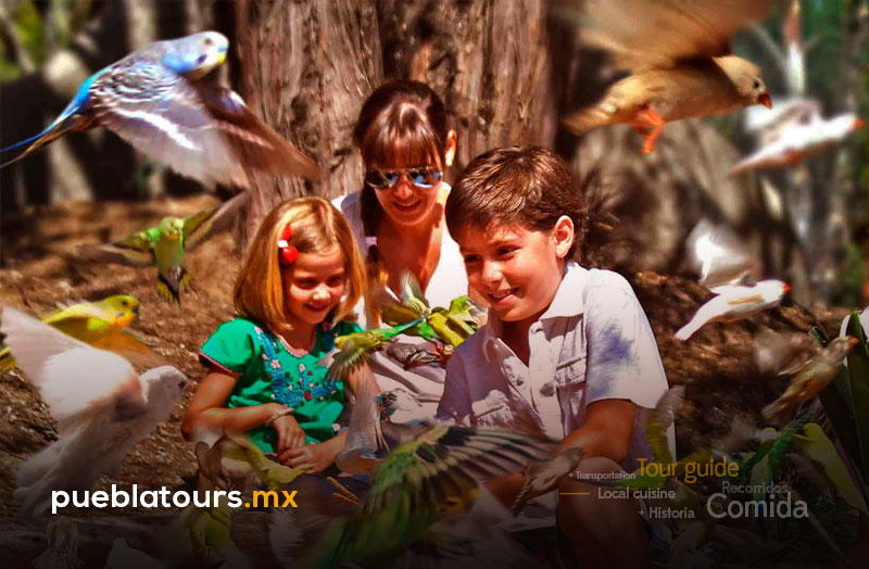 Familia interactuando con aves en Africam Safari Puebla