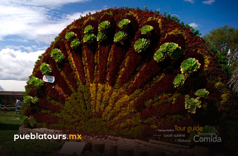 Escultura floral de pavo real en el Jardín Mágico de Atlixco