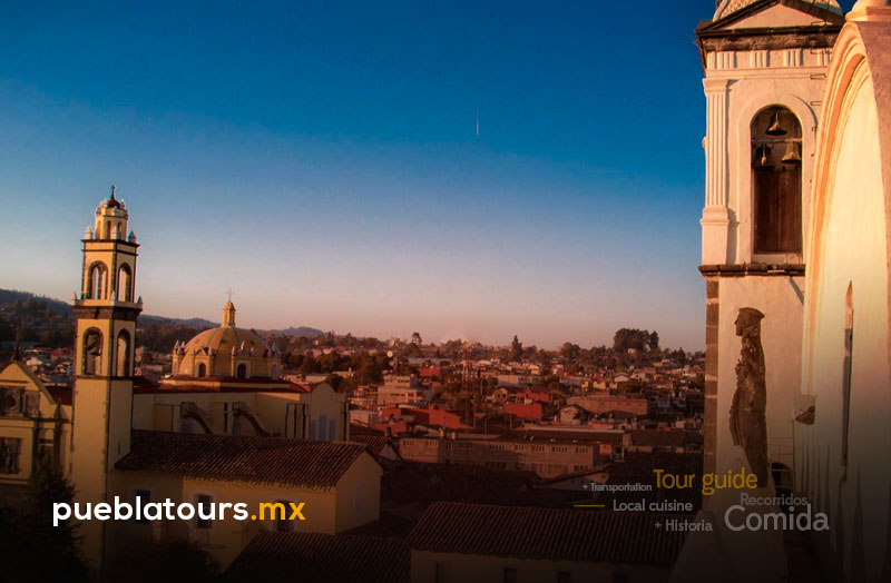 Safari Africam con fauna en libertad